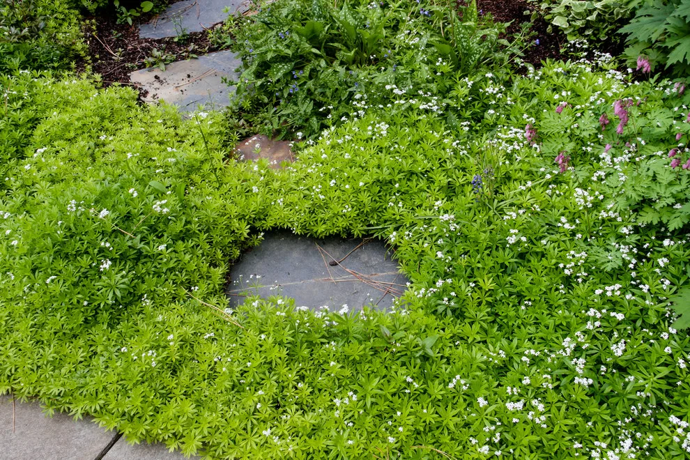 Rockwood Artisan by Pacific Garden Design - Photo 17