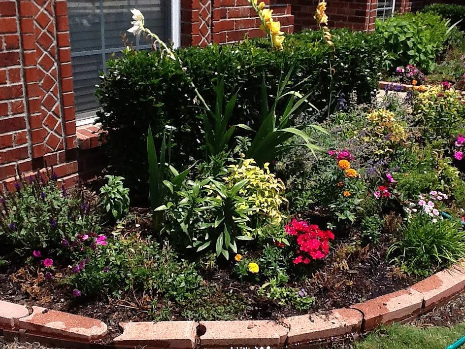 White Landscape Design - Photo 10