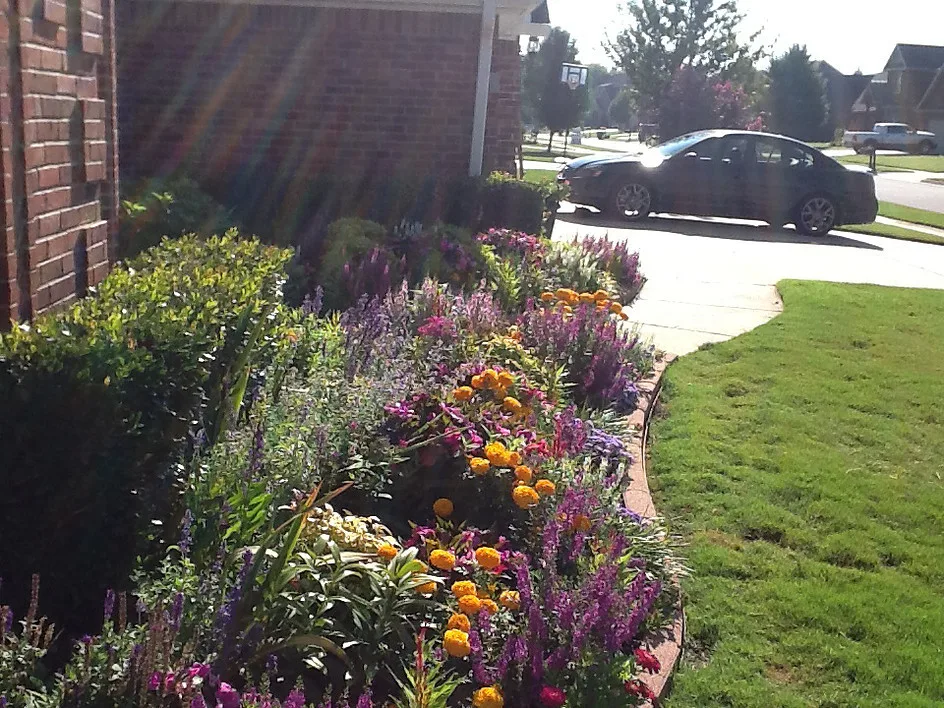 White Landscape Design - Photo 6
