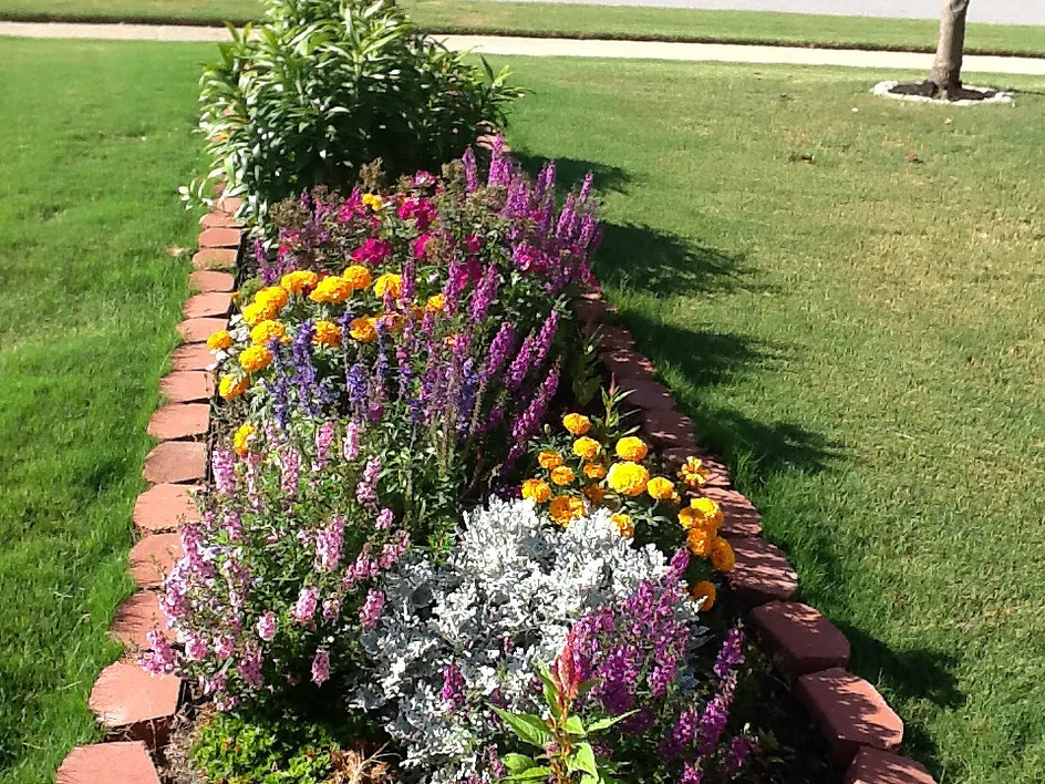 White Landscape Design - Photo 8