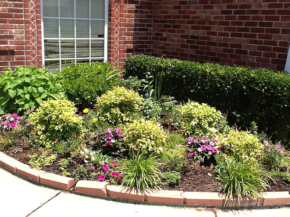 White Landscape Design - Photo 7