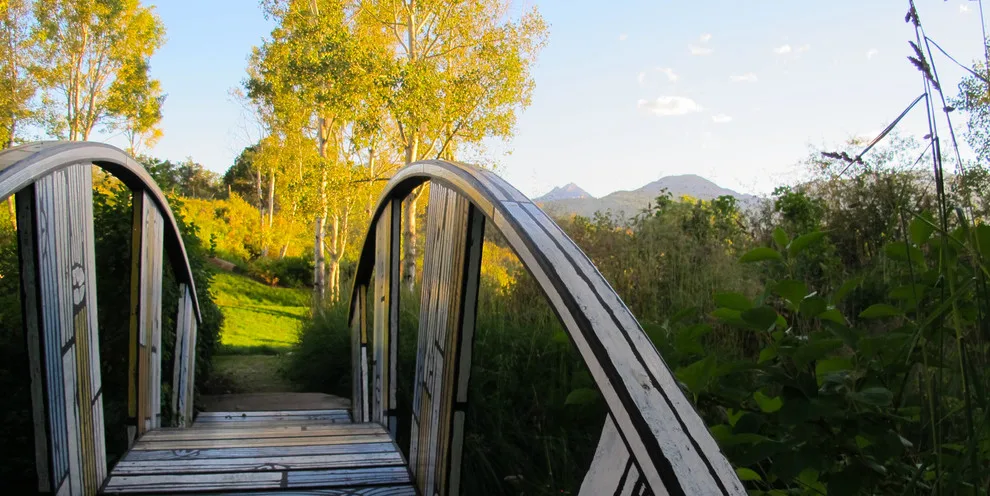 Lift Studio | Landscape Architecture - Photo 4