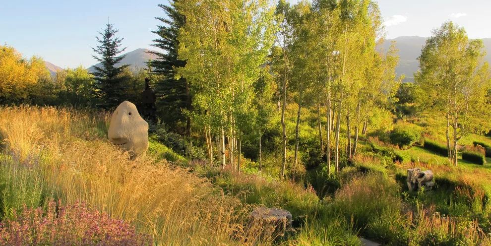 Lift Studio | Landscape Architecture - Photo 13