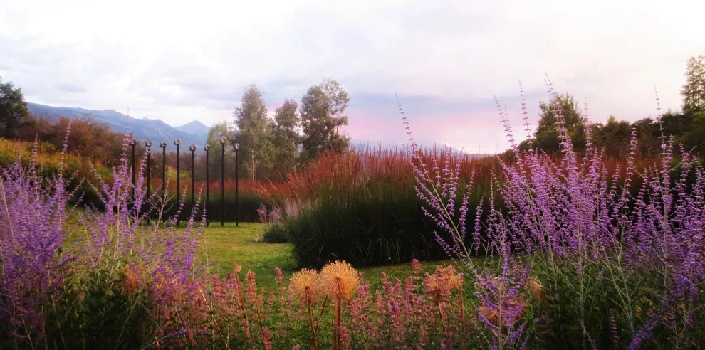 Lift Studio | Landscape Architecture - Photo 2