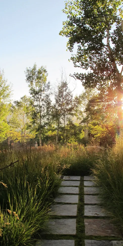 Lift Studio | Landscape Architecture - Photo 9