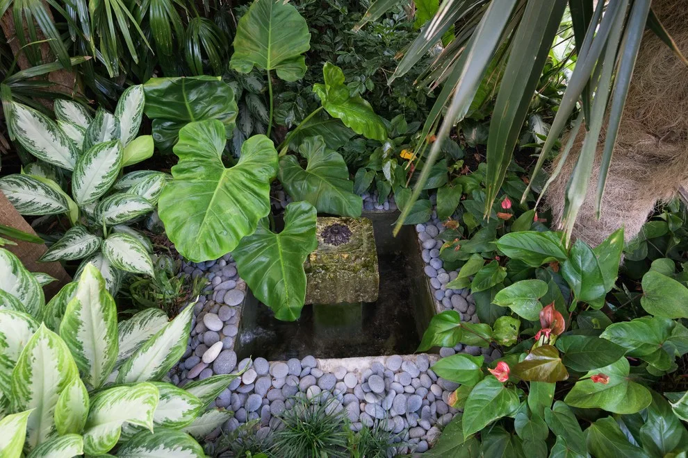 Hidden Oasis by Craig Reynolds Landscape Architecture - Photo 5