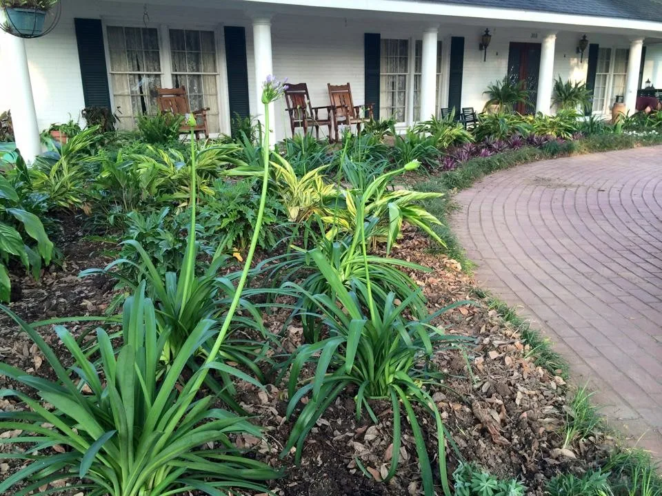 Secret Garden by Megan Montgomery Design - Photo 3