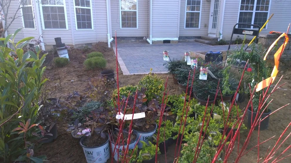 Compact and Easy Patio by Carex Design Group - Photo 2