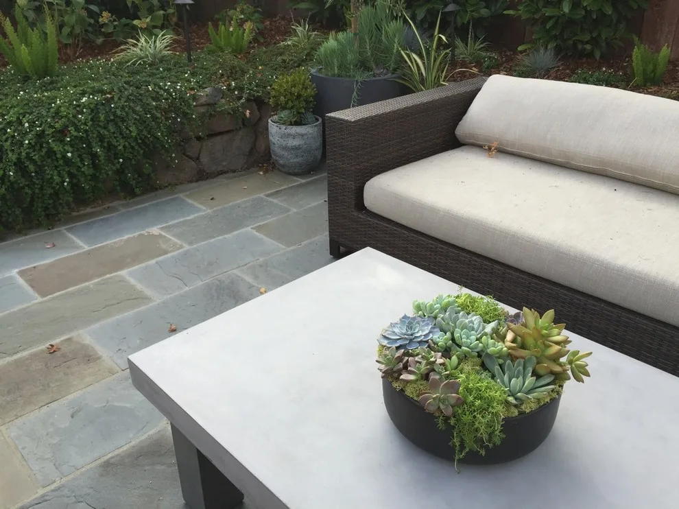 Compact Living, Grand Aesthetics by Haven Home And Garden Design - Photo 3