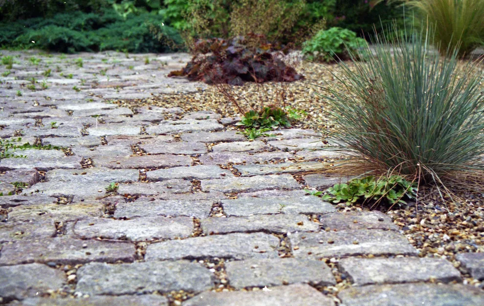 Compact drought-resistant cottage garden by English Landscape LLC - Photo 4