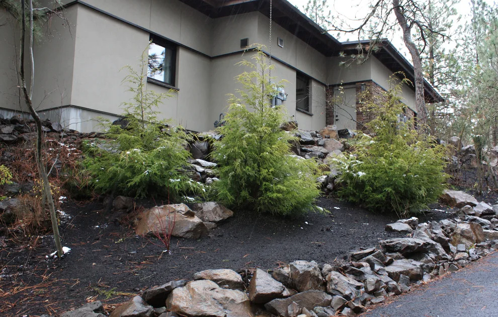 South Hill Energy-Efficient Home by Pacific Garden Design - Photo 13
