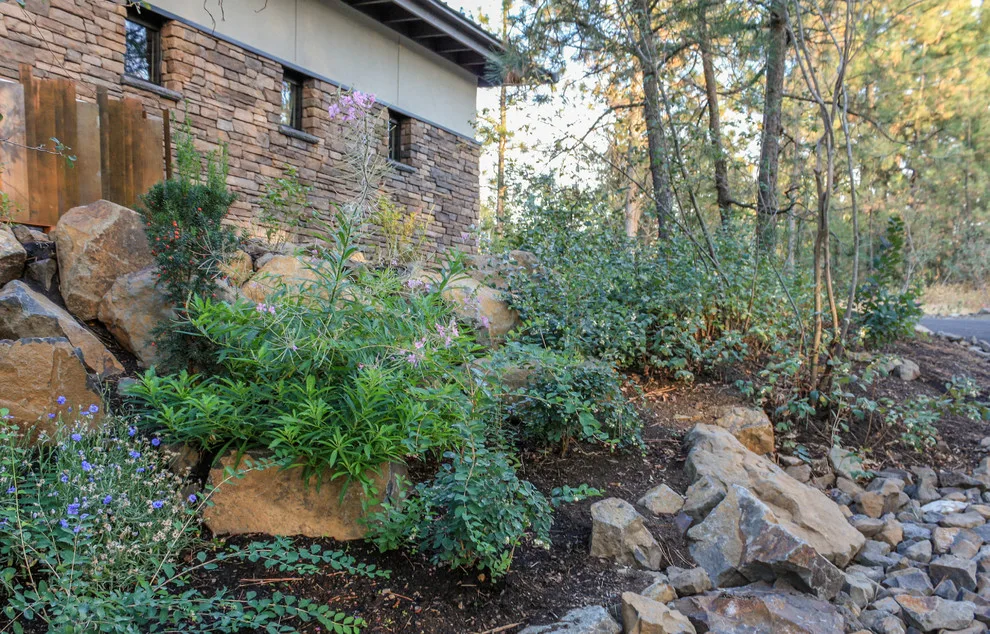 South Hill Energy-Efficient Home by Pacific Garden Design - Photo 15