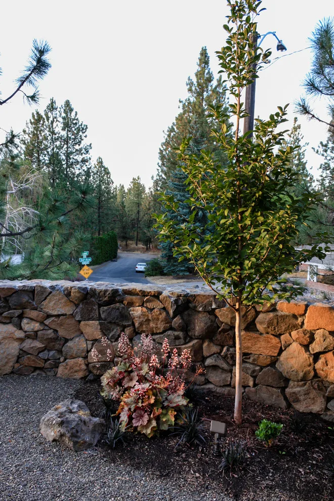 South Hill Energy-Efficient Home by Pacific Garden Design - Photo 9