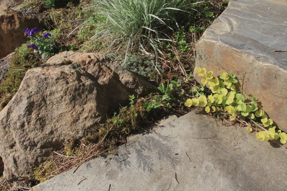 Spirit Lake Lodge by Pacific Garden Design - Photo 11