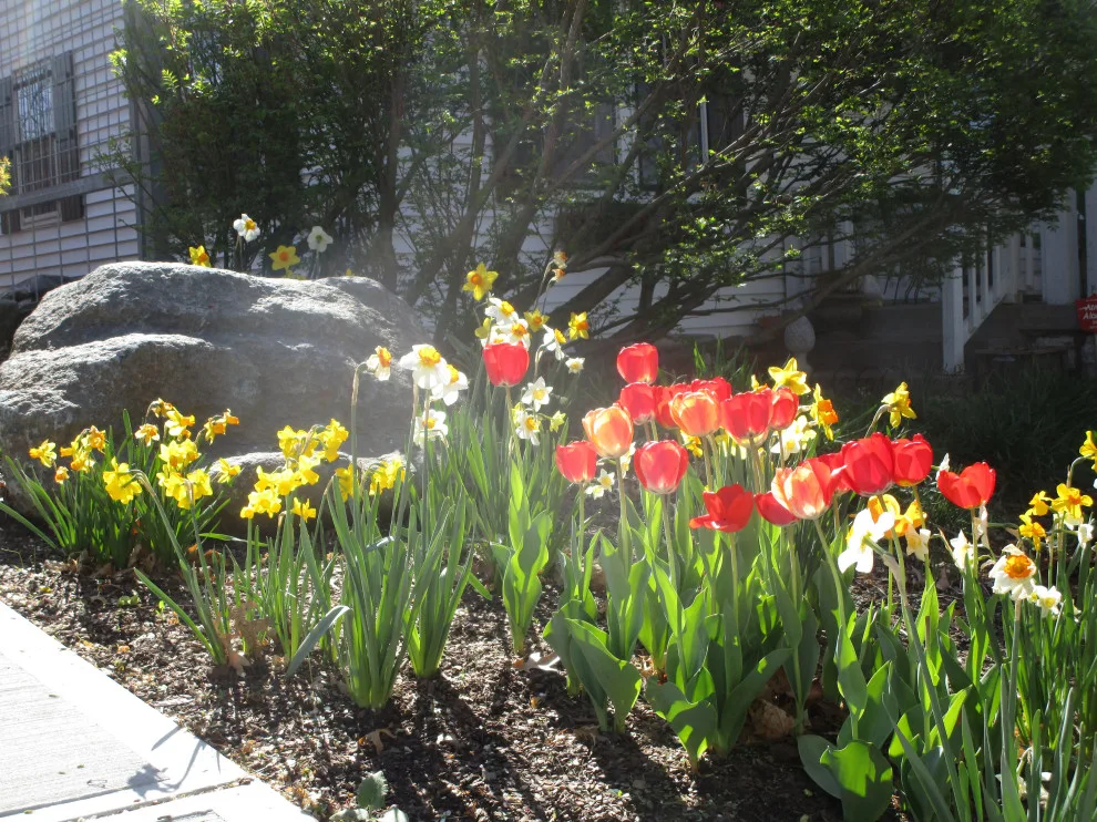 Spring Meadows Fund by Creative Outdoor Spaces - Photo 11