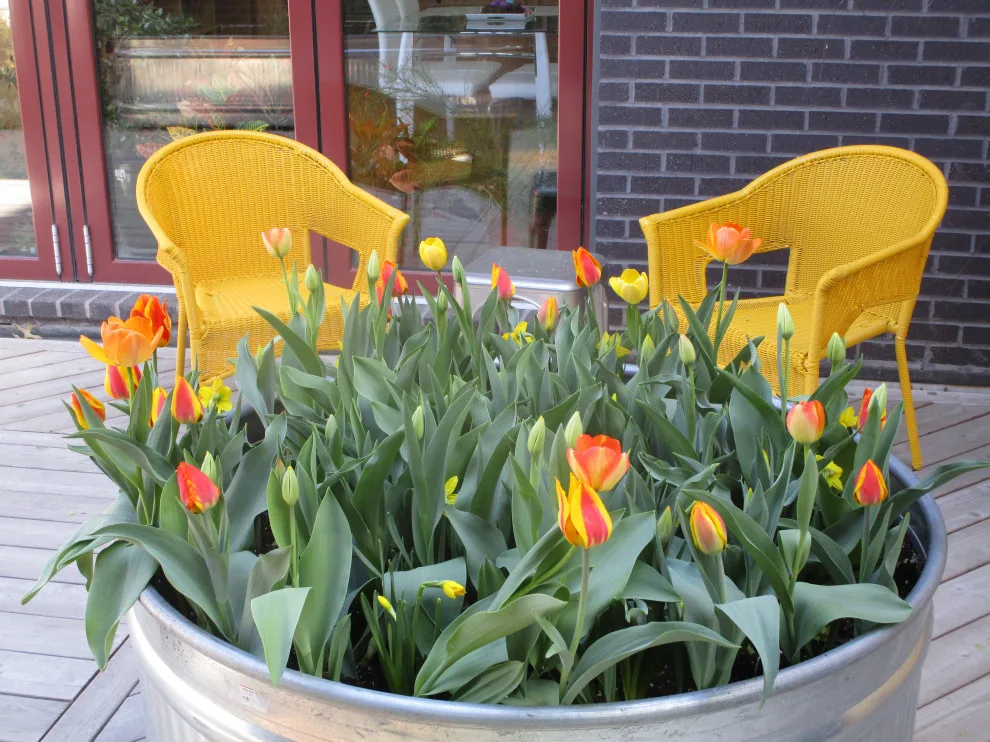 Spring Meadows Fund by Creative Outdoor Spaces - Photo 8