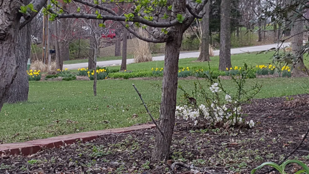 Spring Meadows Fund by Creative Outdoor Spaces - Photo 14