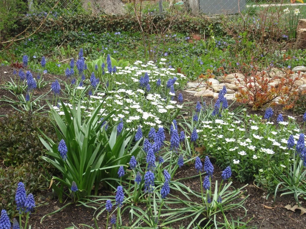 Spring Meadows Fund by Creative Outdoor Spaces - Photo 19