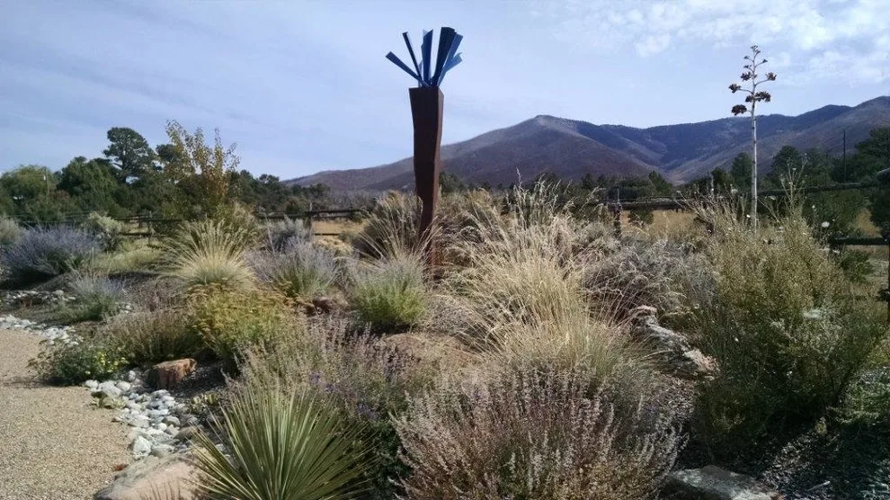 Xeriscape of the Mountains by Taos Landscaping - Photo 3