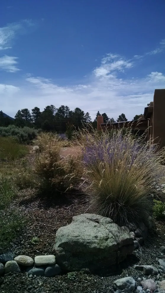 Xeriscape of the Mountains by Taos Landscaping - Photo 5