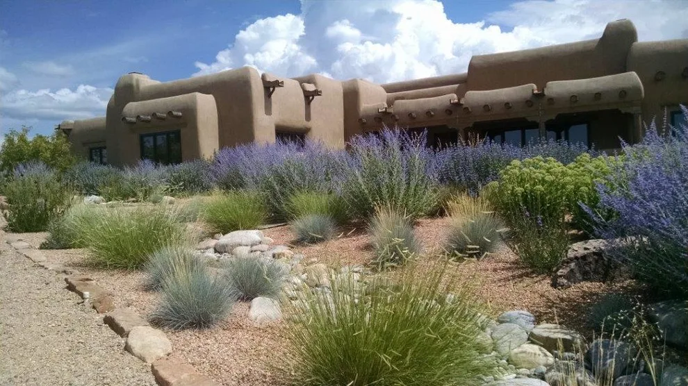 Taos Water-Efficient Landscaping by Taos Landscaping - Photo 12