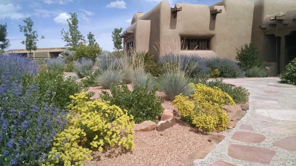 Taos Water-Efficient Landscaping by Taos Landscaping - Photo 8