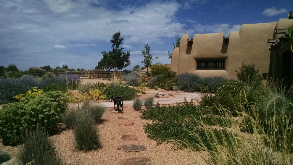 Taos Water-Efficient Landscaping by Taos Landscaping - Photo 4