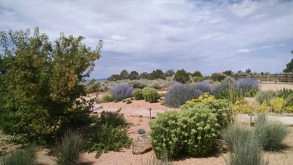 Taos Water-Efficient Landscaping by Taos Landscaping - Photo 20
