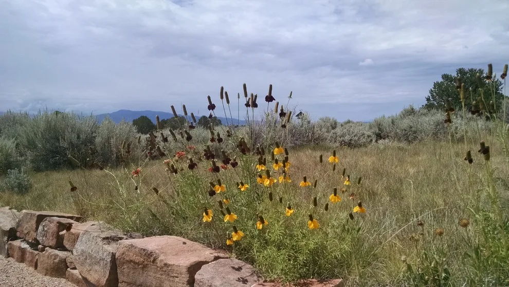 Taos Water-Efficient Landscaping by Taos Landscaping - Photo 16