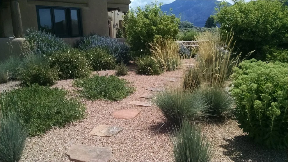 Taos Water-Efficient Landscaping by Taos Landscaping - Photo 5