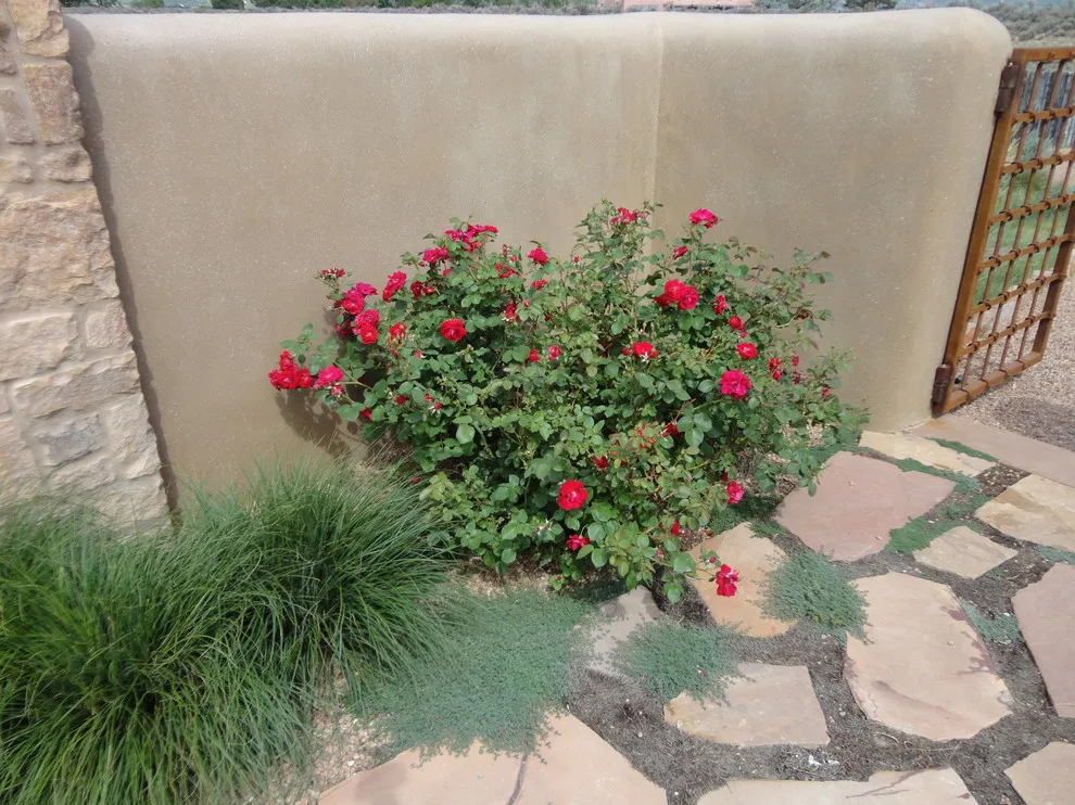 Taos Water-Efficient Landscaping by Taos Landscaping - Photo 15