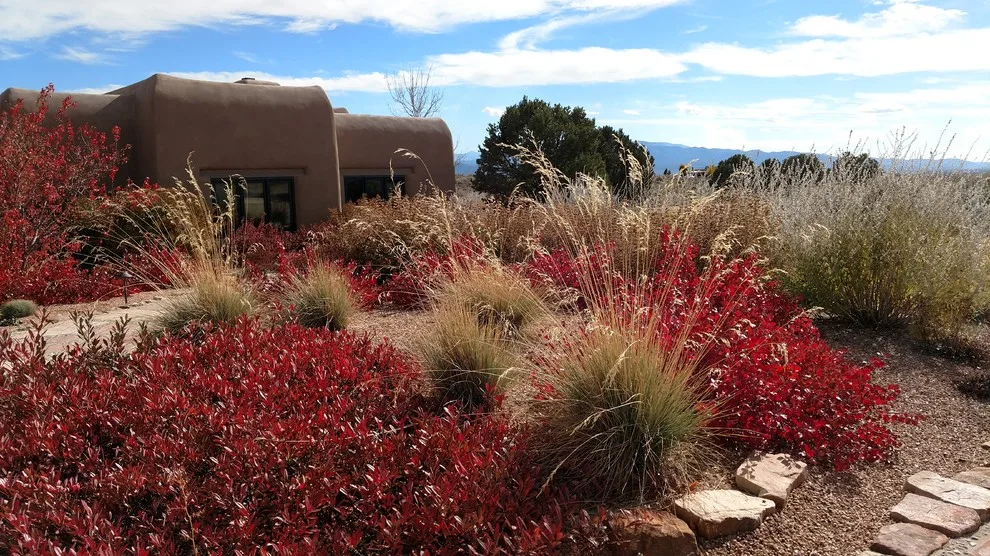 Taos Water-Efficient Landscaping by Taos Landscaping - Photo 17