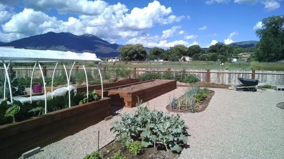 Elevated Garden Beds by Taos Landscaping - Photo 6