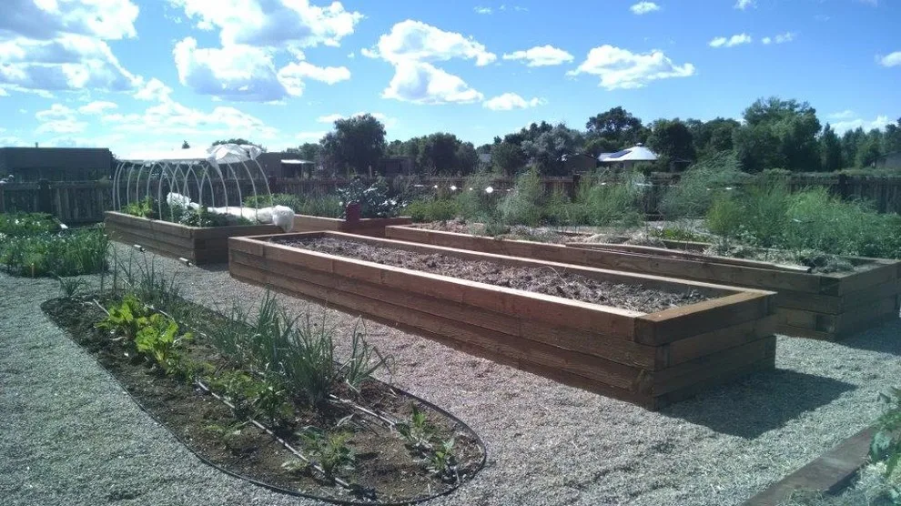 Elevated Garden Beds by Taos Landscaping - Photo 2