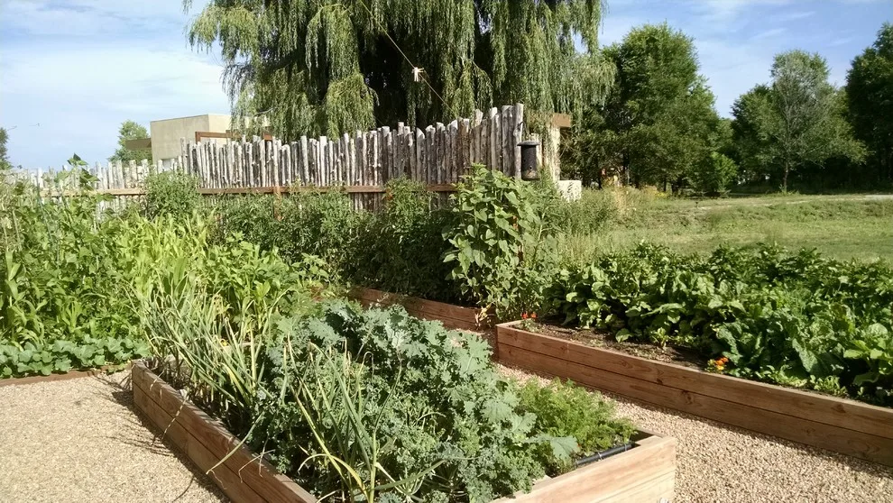 Elevated Garden Beds by Taos Landscaping - Photo 3