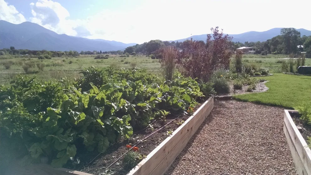 Elevated Garden Beds by Taos Landscaping - Photo 4