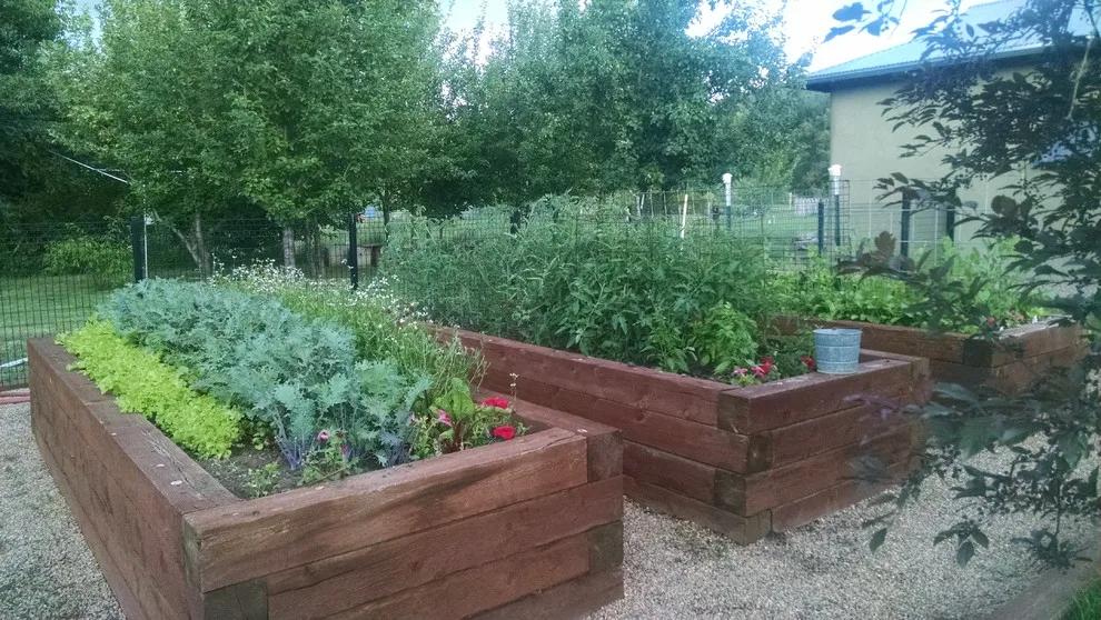 Elevated Garden Beds by Taos Landscaping - Photo 5