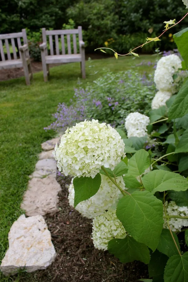 Rozelle Lawn & Landscape - Photo 14