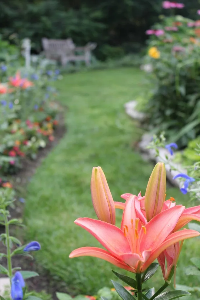 The Garden Cottage by Rozelle Lawn & Landscape - Photo 6