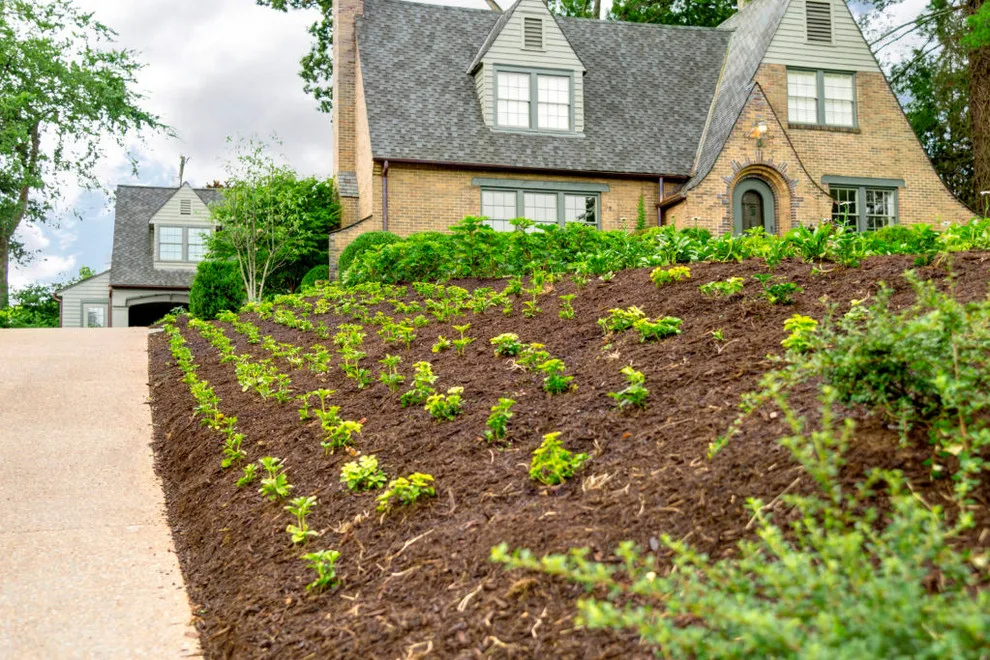 Front Yard Landscaping by The Lawn Butler - Photo 2