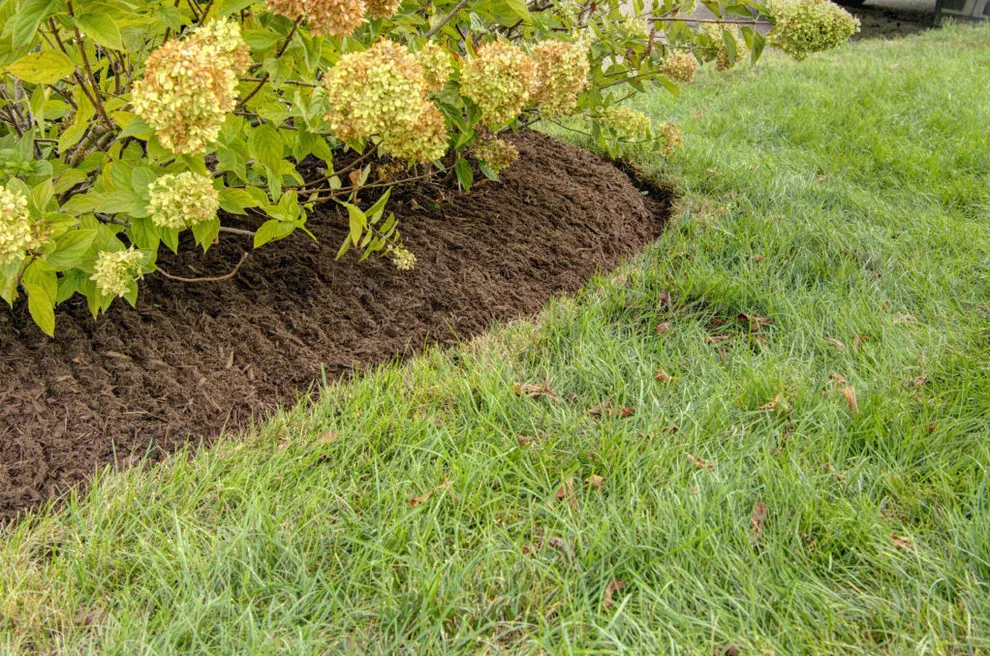 Flourish and Turf Care by The Lawn Butler - Photo 3