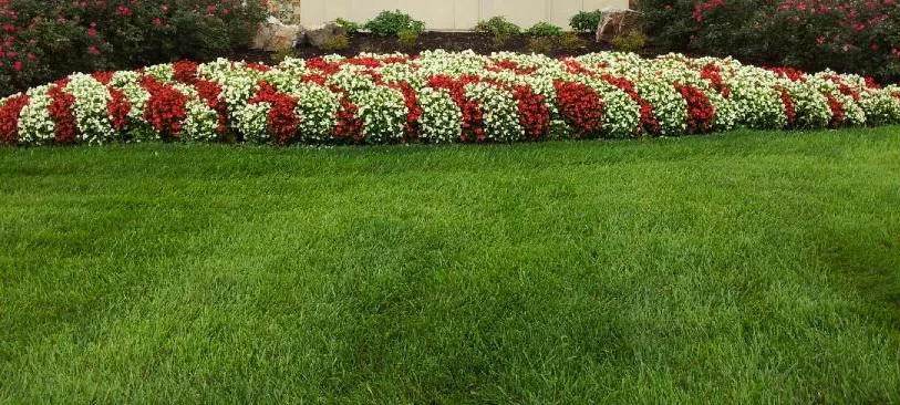 Flourish and Turf Care by The Lawn Butler - Photo 2