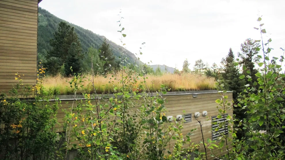 The Conservation of Prior Work by Lift Studio | Landscape Architecture - Photo 6