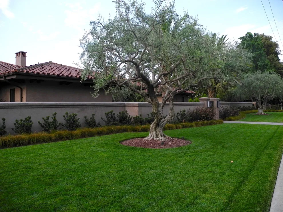 Thunderbird Project by Westfall Design Studio - Photo 12
