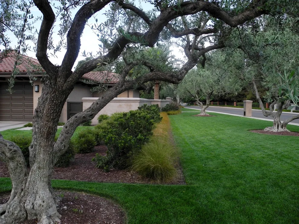 Thunderbird Project by Westfall Design Studio - Photo 8