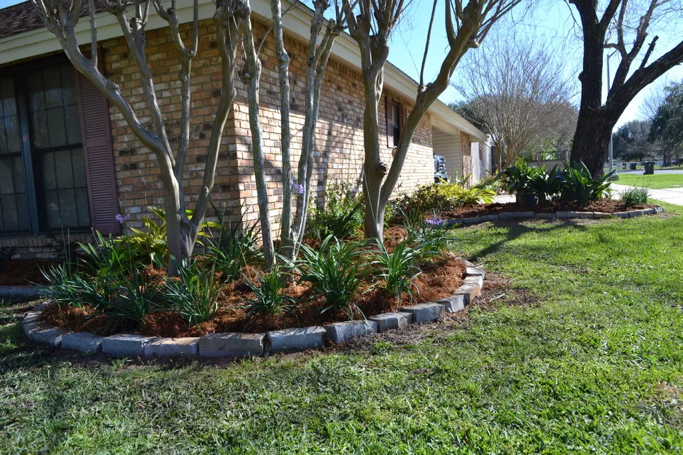 Classic Curb Appeal by Megan Montgomery Design - Photo 7