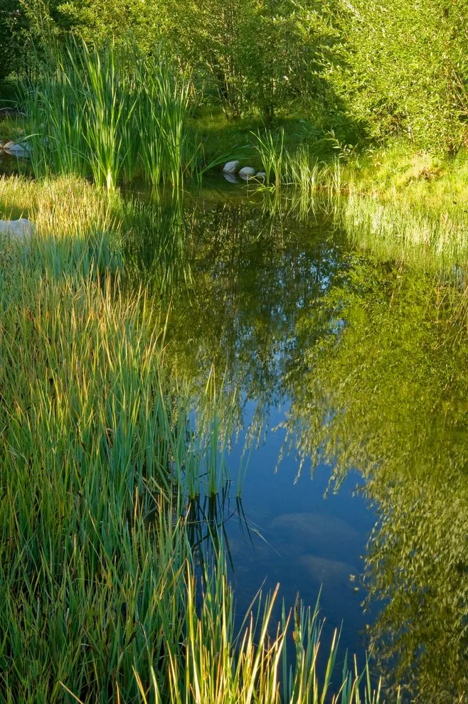 Revolutionary Water by Design Workshop, INC. - Photo 8