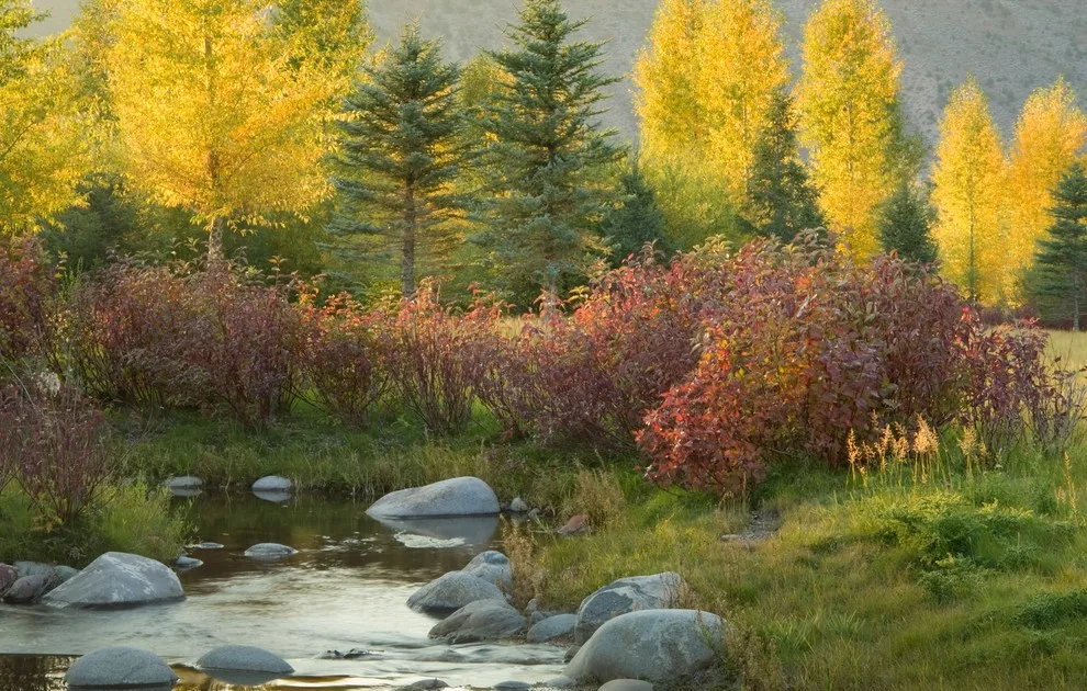 Revolutionary Water by Design Workshop, INC. - Photo 7