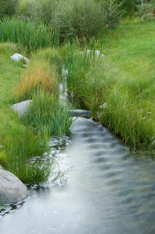 Revolutionary Water by Design Workshop, INC. - Photo 5