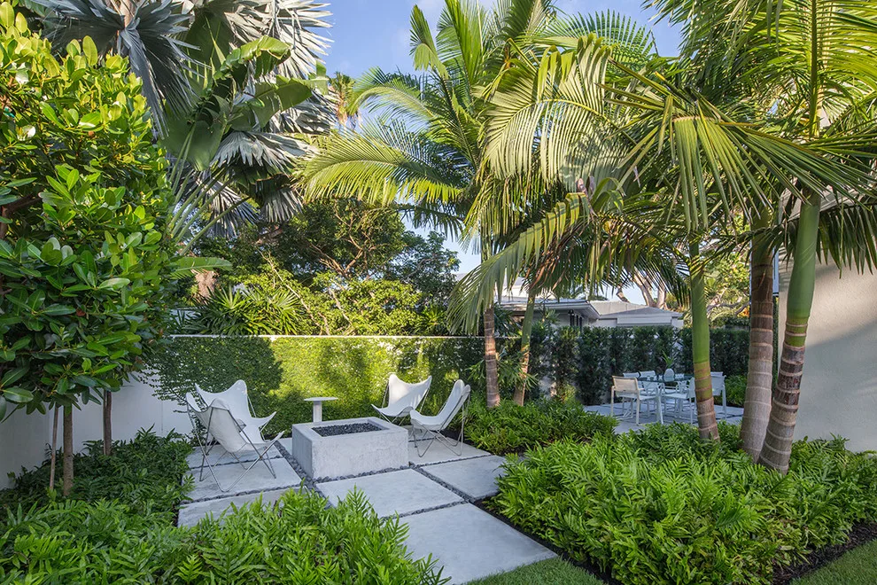 Tropical Simplicity by Craig Reynolds Landscape Architecture - Photo 4